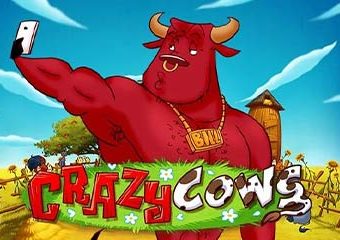 Crazy Cows